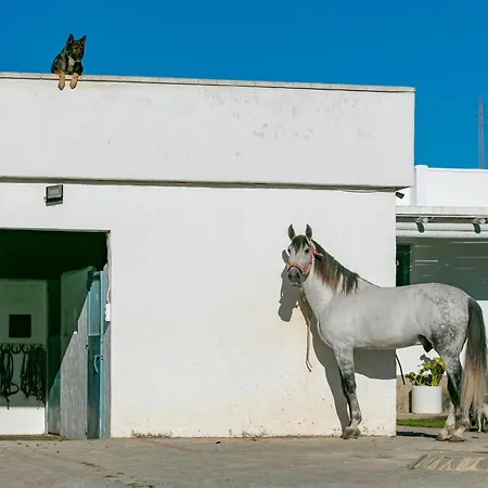 Casa Rural Con Terraza Privada III Tarifa Exterior photo