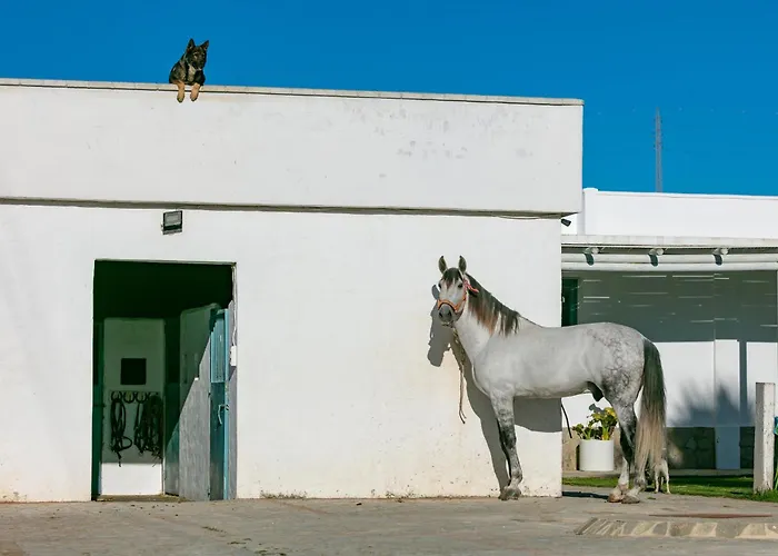Casa Rural Con Terraza Privada III