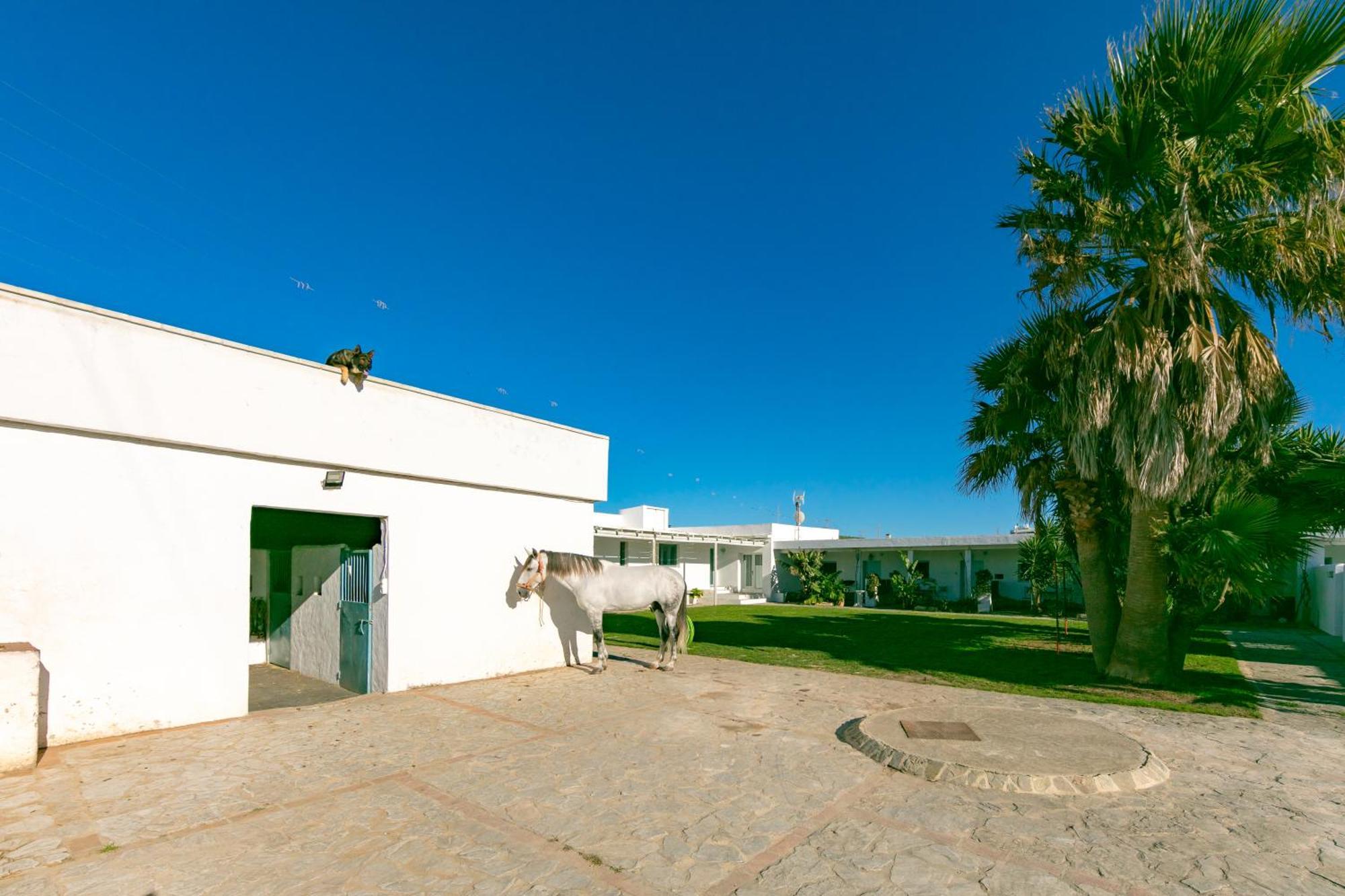 Con Terraza Privada Iii Apartment *